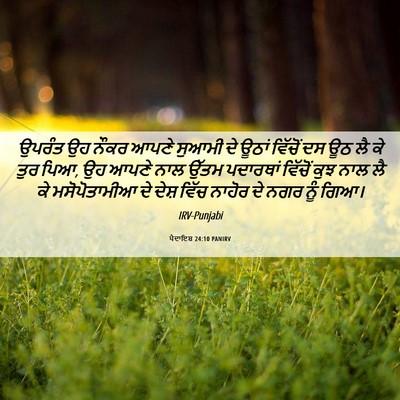Picture 06 - ਪੈਦਾਇਸ਼ 24:10 PANIRV - ਉਪਰੰਤ ਉਹ ਨੌਕਰ ਆਪਣੇ - Bible Verse Picture