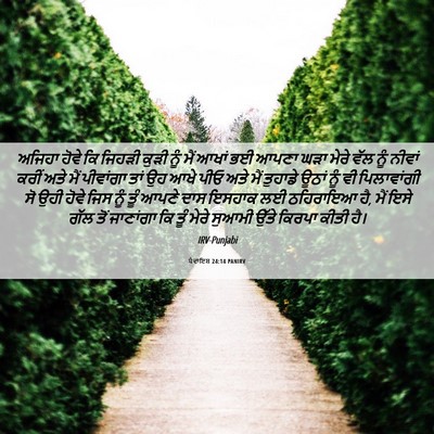 Picture 06 - ਪੈਦਾਇਸ਼ 24:14 PANIRV - ਅਜਿਹਾ ਹੋਵੇ ਕਿ - Bible Verse Picture