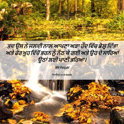 Picture 06 - ਪੈਦਾਇਸ਼ 24:20 PANIRV - ਤਦ ਉਸ ਨੇ ਜਲਦੀ ਨਾਲ - Bible Verse Picture