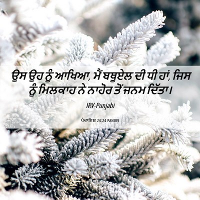 Picture 06 - ਪੈਦਾਇਸ਼ 24:24 PANIRV - ਉਸ ਉਹ ਨੂੰ ਆਖਿਆ, ਮੈਂ - Bible Verse Picture