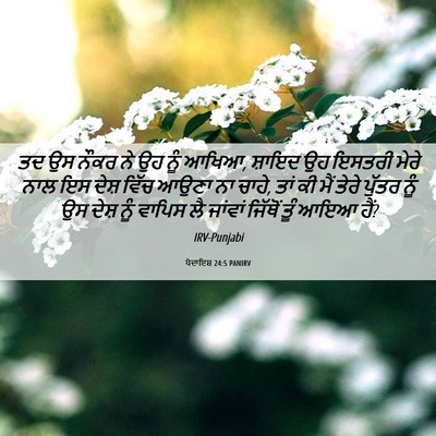Picture 06 - ਪੈਦਾਇਸ਼ 24:5 PANIRV - ਤਦ ਉਸ ਨੌਕਰ ਨੇ ਉਹ - Bible Verse Picture