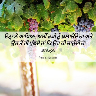 Picture 06 - ਪੈਦਾਇਸ਼ 24:57 PANIRV - ਉਨ੍ਹਾਂ ਨੇ ਆਖਿਆ, - Bible Verse Picture