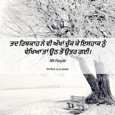 Picture 06 - ਪੈਦਾਇਸ਼ 24:64 PANIRV - ਤਦ ਰਿਬਕਾਹ ਨੇ ਵੀ - Bible Verse Picture
