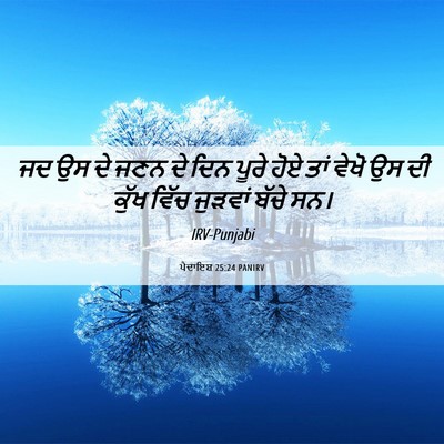 Picture 06 - ਪੈਦਾਇਸ਼ 25:24 PANIRV - ਜਦ ਉਸ ਦੇ ਜਣਨ ਦੇ ਦਿਨ - Bible Verse Picture