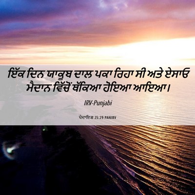 Picture 06 - ਪੈਦਾਇਸ਼ 25:29 PANIRV - ਇੱਕ ਦਿਨ ਯਾਕੂਬ ਦਾਲ - Bible Verse Picture