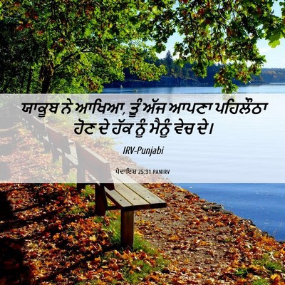 Picture 06 - ਪੈਦਾਇਸ਼ 25:31 PANIRV - ਯਾਕੂਬ ਨੇ ਆਖਿਆ, ਤੂੰ - Bible Verse Picture