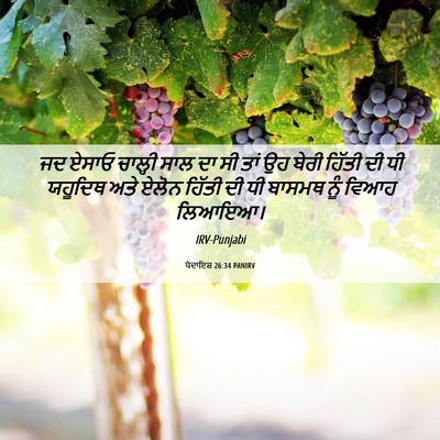 Picture 06 - ਪੈਦਾਇਸ਼ 26:34 PANIRV - ਜਦ ਏਸਾਓ ਚਾਲ੍ਹੀ ਸਾਲ - Bible Verse Picture