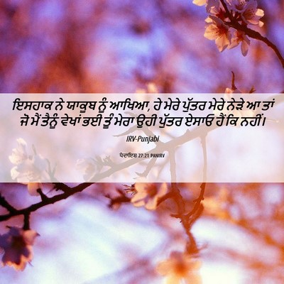 Picture 06 - ਪੈਦਾਇਸ਼ 27:21 PANIRV - ਇਸਹਾਕ ਨੇ ਯਾਕੂਬ ਨੂੰ - Bible Verse Picture