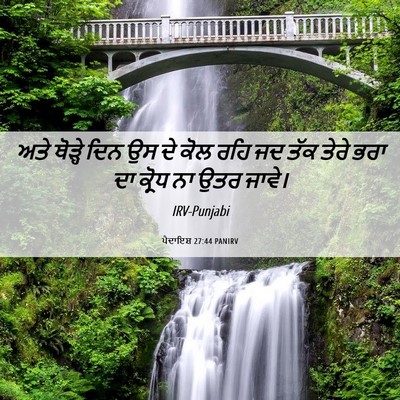 Picture 06 - ਪੈਦਾਇਸ਼ 27:44 PANIRV - ਅਤੇ ਥੋੜ੍ਹੇ ਦਿਨ ਉਸ - Bible Verse Picture