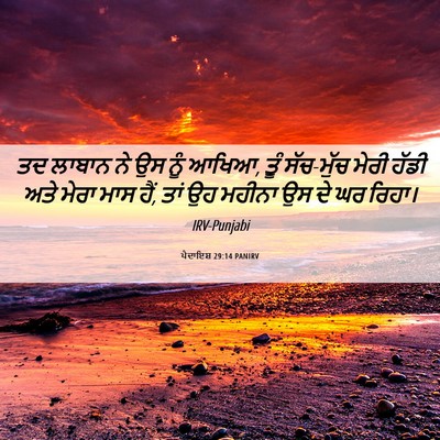 Picture 06 - ਪੈਦਾਇਸ਼ 29:14 PANIRV - ਤਦ ਲਾਬਾਨ ਨੇ ਉਸ ਨੂੰ - Bible Verse Picture