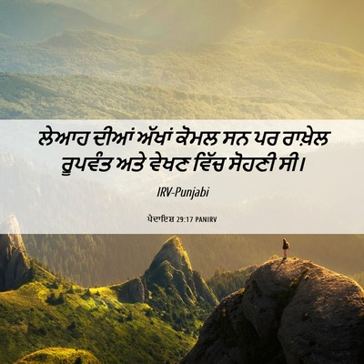 Picture 06 - ਪੈਦਾਇਸ਼ 29:17 PANIRV - ਲੇਆਹ ਦੀਆਂ ਅੱਖਾਂ - Bible Verse Picture