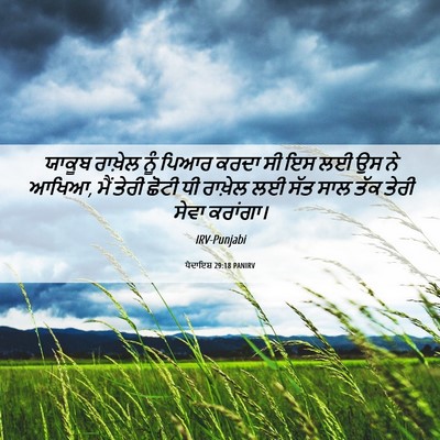 Picture 06 - ਪੈਦਾਇਸ਼ 29:18 PANIRV - ਯਾਕੂਬ ਰਾਖ਼ੇਲ ਨੂੰ - Bible Verse Picture