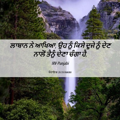 Picture 06 - ਪੈਦਾਇਸ਼ 29:19 PANIRV - ਲਾਬਾਨ ਨੇ ਆਖਿਆ, ਉਹ - Bible Verse Picture