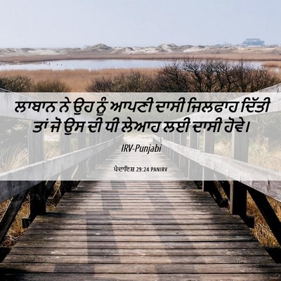 Picture 06 - ਪੈਦਾਇਸ਼ 29:24 PANIRV - ਲਾਬਾਨ ਨੇ ਉਹ ਨੂੰ - Bible Verse Picture