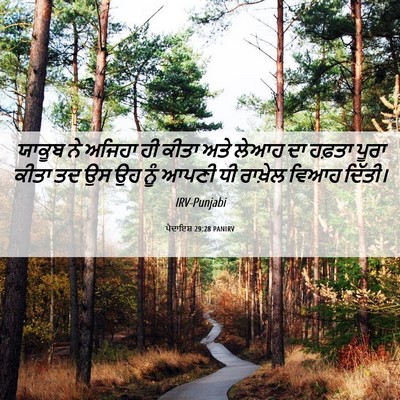 Picture 06 - ਪੈਦਾਇਸ਼ 29:28 PANIRV - ਯਾਕੂਬ ਨੇ ਅਜਿਹਾ ਹੀ - Bible Verse Picture