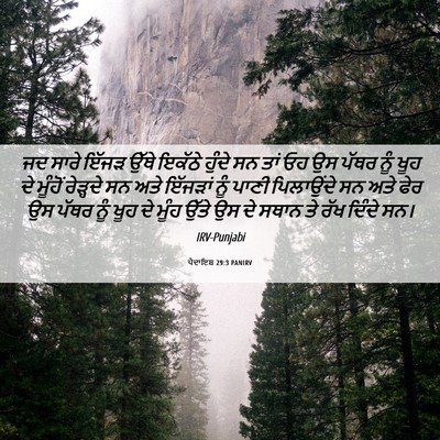 Picture 06 - ਪੈਦਾਇਸ਼ 29:3 PANIRV - ਜਦ ਸਾਰੇ ਇੱਜੜ ਉੱਥੇ - Bible Verse Picture