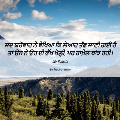 Picture 06 - ਪੈਦਾਇਸ਼ 29:31 PANIRV - ਜਦ ਯਹੋਵਾਹ ਨੇ ਵੇਖਿਆ - Bible Verse Picture