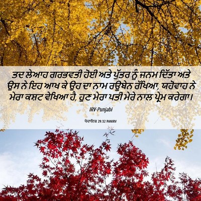 Picture 06 - ਪੈਦਾਇਸ਼ 29:32 PANIRV - ਤਦ ਲੇਆਹ ਗਰਭਵਤੀ ਹੋਈ - Bible Verse Picture