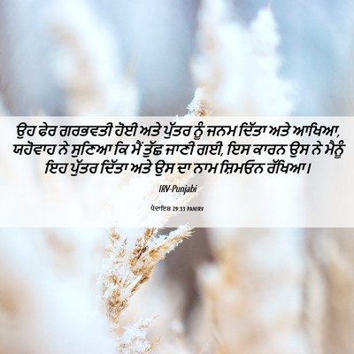 Picture 06 - ਪੈਦਾਇਸ਼ 29:33 PANIRV - ਉਹ ਫੇਰ ਗਰਭਵਤੀ ਹੋਈ - Bible Verse Picture