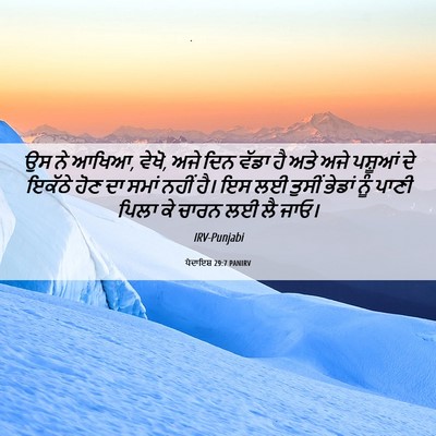 Picture 06 - ਪੈਦਾਇਸ਼ 29:7 PANIRV - ਉਸ ਨੇ ਆਖਿਆ, ਵੇਖੋ, - Bible Verse Picture