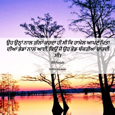 Picture 06 - ਪੈਦਾਇਸ਼ 29:9 PANIRV - ਉਹ ਉਨ੍ਹਾਂ ਨਾਲ - Bible Verse Picture