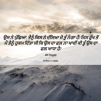 Picture 06 - ਪੈਦਾਇਸ਼ 3:11 PANIRV - ਉਸ ਨੇ ਪੁੱਛਿਆ, ਤੈਨੂੰ - Bible Verse Picture
