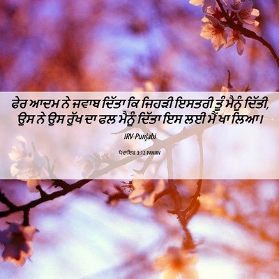 Picture 06 - ਪੈਦਾਇਸ਼ 3:12 PANIRV - ਫੇਰ ਆਦਮ ਨੇ ਜਵਾਬ - Bible Verse Picture