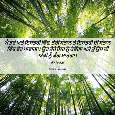 Picture 06 - ਪੈਦਾਇਸ਼ 3:15 PANIRV - ਮੈਂ ਤੇਰੇ ਅਤੇ ਇਸਤਰੀ - Bible Verse Picture