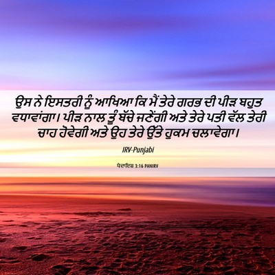 Picture 06 - ਪੈਦਾਇਸ਼ 3:16 PANIRV - ਉਸ ਨੇ ਇਸਤਰੀ ਨੂੰ - Bible Verse Picture