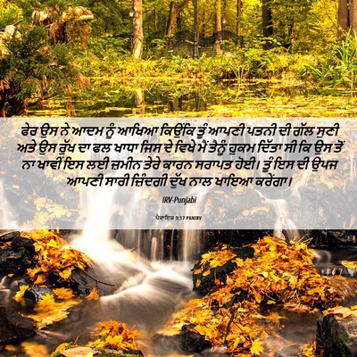 Picture 06 - ਪੈਦਾਇਸ਼ 3:17 PANIRV - ਫੇਰ ਉਸ ਨੇ ਆਦਮ ਨੂੰ - Bible Verse Picture