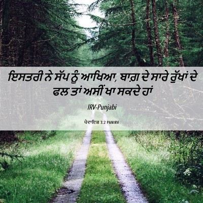 Picture 06 - ਪੈਦਾਇਸ਼ 3:2 PANIRV - ਇਸਤਰੀ ਨੇ ਸੱਪ ਨੂੰ - Bible Verse Picture