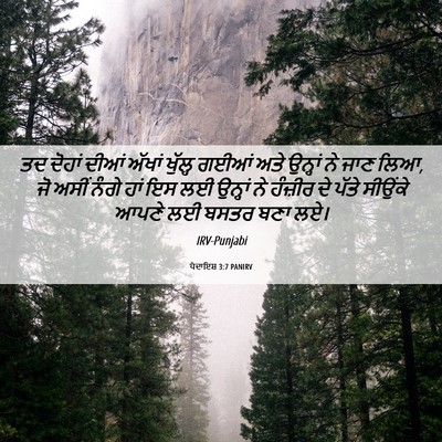 Picture 06 - ਪੈਦਾਇਸ਼ 3:7 PANIRV - ਤਦ ਦੋਹਾਂ ਦੀਆਂ - Bible Verse Picture