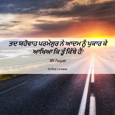 Picture 06 - ਪੈਦਾਇਸ਼ 3:9 PANIRV - ਤਦ ਯਹੋਵਾਹ - Bible Verse Picture
