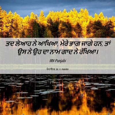 Picture 06 - ਪੈਦਾਇਸ਼ 30:11 PANIRV - ਤਦ ਲੇਆਹ ਨੇ ਆਖਿਆ, - Bible Verse Picture