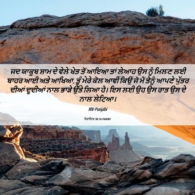 Picture 06 - ਪੈਦਾਇਸ਼ 30:16 PANIRV - ਜਦ ਯਾਕੂਬ ਸ਼ਾਮ ਦੇ - Bible Verse Picture