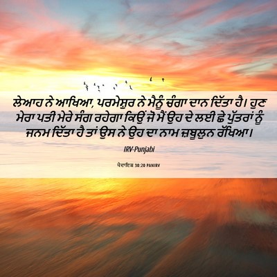 Picture 06 - ਪੈਦਾਇਸ਼ 30:20 PANIRV - ਲੇਆਹ ਨੇ ਆਖਿਆ, - Bible Verse Picture