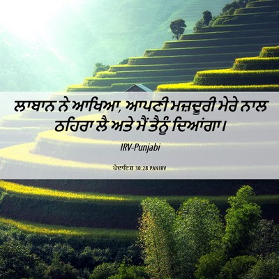 Picture 06 - ਪੈਦਾਇਸ਼ 30:28 PANIRV - ਲਾਬਾਨ ਨੇ ਆਖਿਆ, ਆਪਣੀ - Bible Verse Picture