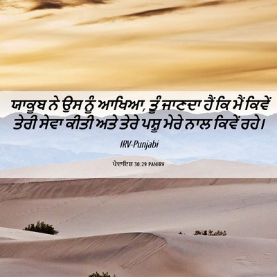 Picture 06 - ਪੈਦਾਇਸ਼ 30:29 PANIRV - ਯਾਕੂਬ ਨੇ ਉਸ ਨੂੰ - Bible Verse Picture