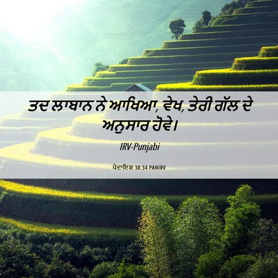 Picture 06 - ਪੈਦਾਇਸ਼ 30:34 PANIRV - ਤਦ ਲਾਬਾਨ ਨੇ ਆਖਿਆ, - Bible Verse Picture