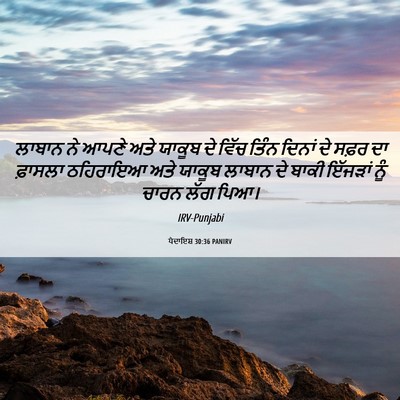 Picture 06 - ਪੈਦਾਇਸ਼ 30:36 PANIRV - ਲਾਬਾਨ ਨੇ ਆਪਣੇ ਅਤੇ - Bible Verse Picture