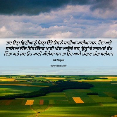 Picture 06 - ਪੈਦਾਇਸ਼ 30:38 PANIRV - ਤਦ ਉਨ੍ਹਾਂ ਛਿਟੀਆਂ - Bible Verse Picture
