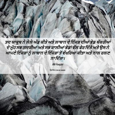 Picture 06 - ਪੈਦਾਇਸ਼ 30:40 PANIRV - ਤਦ ਯਾਕੂਬ ਨੇ ਲੇਲੇ - Bible Verse Picture