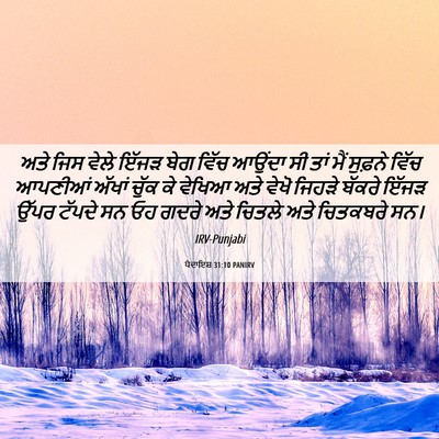 Picture 06 - ਪੈਦਾਇਸ਼ 31:10 PANIRV - ਅਤੇ ਜਿਸ ਵੇਲੇ ਇੱਜੜ - Bible Verse Picture