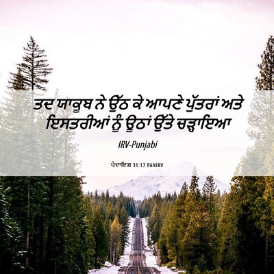 Picture 06 - ਪੈਦਾਇਸ਼ 31:17 PANIRV - ਤਦ ਯਾਕੂਬ ਨੇ ਉੱਠ ਕੇ - Bible Verse Picture