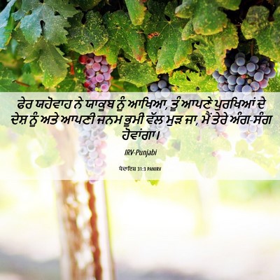 Picture 06 - ਪੈਦਾਇਸ਼ 31:3 PANIRV - ਫੇਰ ਯਹੋਵਾਹ ਨੇ - Bible Verse Picture