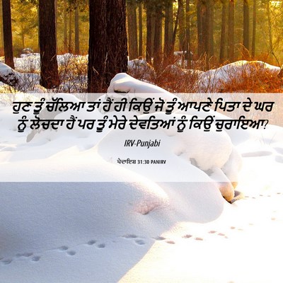 Picture 06 - ਪੈਦਾਇਸ਼ 31:30 PANIRV - ਹੁਣ ਤੂੰ ਚੱਲਿਆ ਤਾਂ - Bible Verse Picture