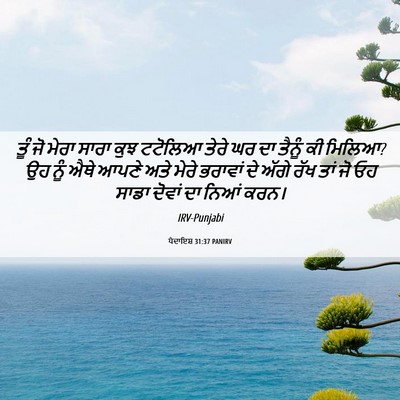 Picture 06 - ਪੈਦਾਇਸ਼ 31:37 PANIRV - ਤੂੰ ਜੋ ਮੇਰਾ ਸਾਰਾ - Bible Verse Picture