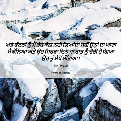 Picture 06 - ਪੈਦਾਇਸ਼ 31:39 PANIRV - ਅਤੇ ਫੱਟੜਾਂ ਨੂੰ ਮੈਂ - Bible Verse Picture