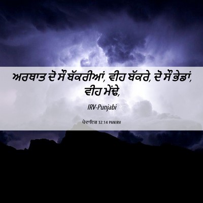Picture 06 - ਪੈਦਾਇਸ਼ 32:14 PANIRV - ਅਰਥਾਤ ਦੋ ਸੌ - Bible Verse Picture
