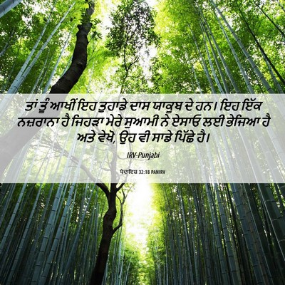 Picture 06 - ਪੈਦਾਇਸ਼ 32:18 PANIRV - ਤਾਂ ਤੂੰ ਆਖੀਂ ਇਹ - Bible Verse Picture